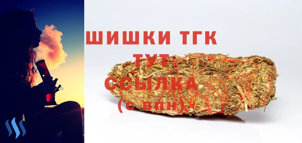 гашик Арсеньев