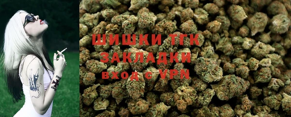 гашик Арсеньев