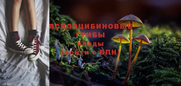 гашик Арсеньев