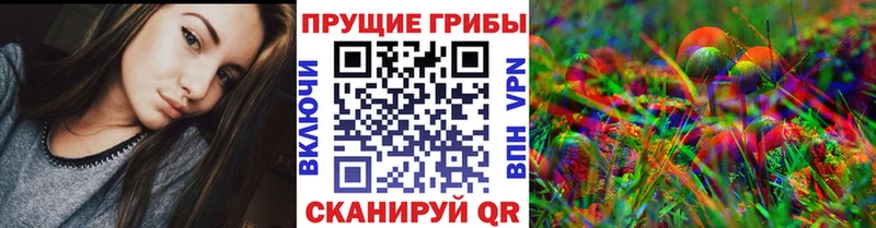 Псилоцибиновые грибы мухоморы  kraken вход  Ахтубинск 